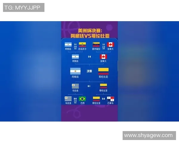 2003年荷兰与阿根廷精彩对决回顾及比赛分析 2003年荷兰与阿根廷精彩对决回顾及比赛分析