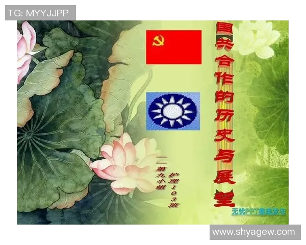 2008年中美对抗与合作的历史回顾与未来展望