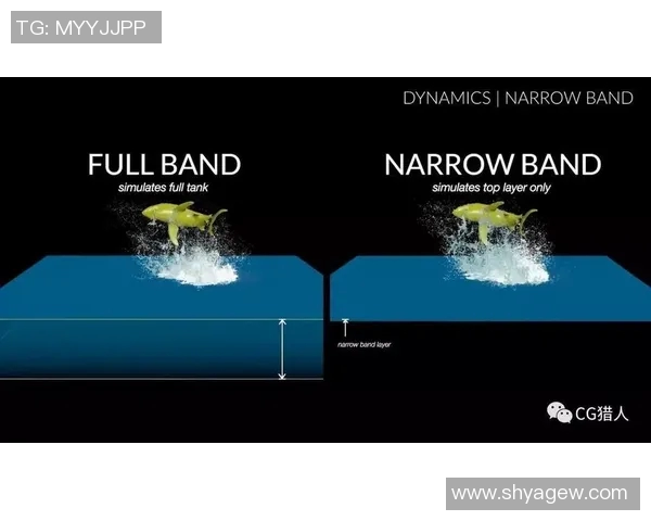 独家解析:北京羽毛球队在速度与技巧上的全面对比分析 独家解析:北京羽毛球队在速度与技巧上的全面对比分析