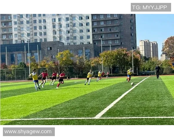 深圳足球队运营革新探索新模式助力城市足球发展与品牌提升