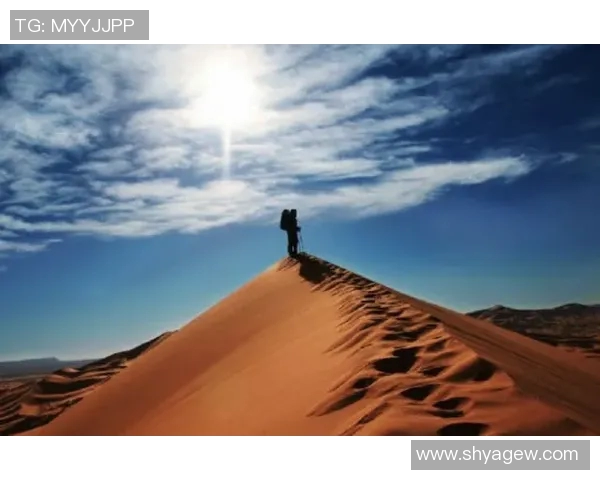 广州攀岩队快攻革新之路探索与实践全景揭秘