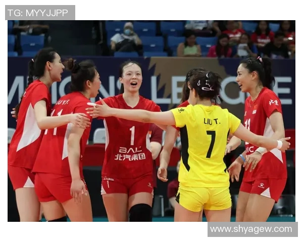 北京排球队夺冠最新排球比赛经验分享TOP10解析