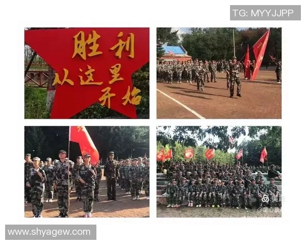 南京排球队总决赛耐力表现分析与未来展望