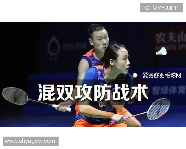 南京羽毛球队战术解析：从技术细节到团队协作的全方位探讨