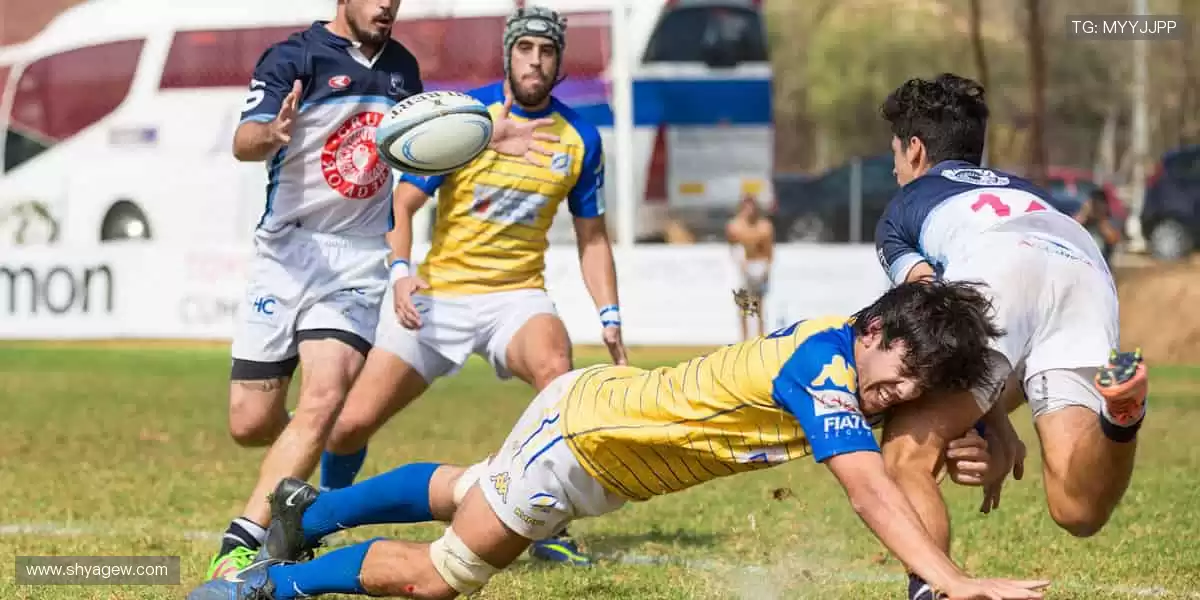 数据与激情同频,专业共欢乐一色!📊🎉 用科技解锁体育新视角!