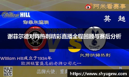 谢菲尔德对阵热刺精彩直播全程回顾与赛后分析